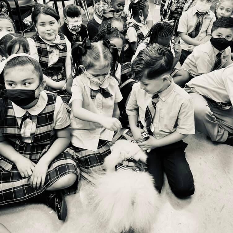  Students gathered around therapy dog